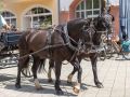 kleines saxophon