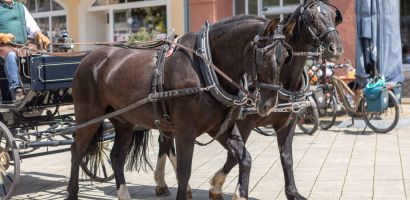 kleines saxophon