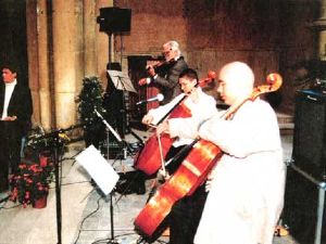violoncello